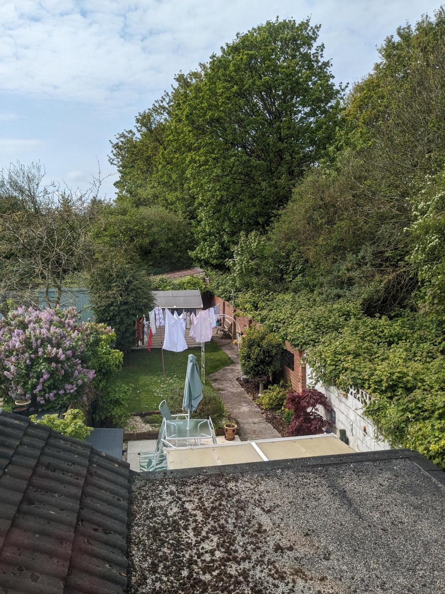6 Trinity Grove Ella Street Hu5 3Bb Bed and Breakfast Kingston upon Hull Exteriör bild